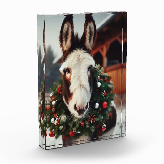 Christmas Pinto Donkey Fotoblock (Links)