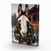 Christmas Pinto Donkey Fotoblock (Rechts)