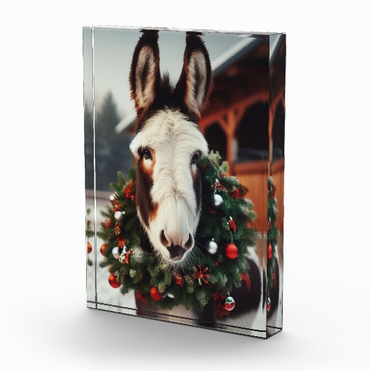 Christmas Pinto Donkey Fotoblock (Rechts)