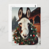 Christmas Pinto Donkey Postkarte (Vorne/Hinten)