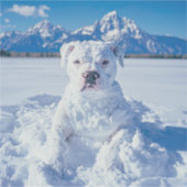 Christmas Pitbull Dog Snowman Aufkleber (Vorderseite)