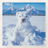 Christmas Pitbull Dog Snowman Glasuntersetzer (Vorderseite)