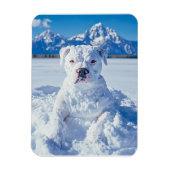 Christmas Pitbull Dog Snowman Magnet (Vertikal)