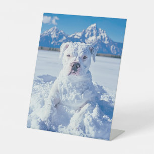 Christmas Pitbull Dog Snowman Sockelschild