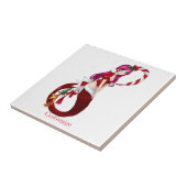 Christmas Pixie Mermaid Thunder_Cove Fliese (Seite)