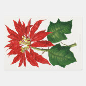 Christmas Poinsetta Blume Red Decoupage Geschenkpapier Set (Vorderseite)