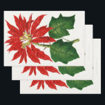 Christmas Poinsetta Blume Red Decoupage Geschenkpapier Set<br><div class="desc">Christmas Poinsetta Blume Red Decoupage</div>
