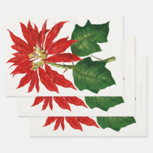 Christmas Poinsetta Blume Red Decoupage Geschenkpapier Set