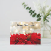 Christmas Poinsetta Postkarte (Stehend Vorderseite)