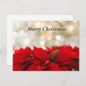 Christmas Poinsetta Postkarte (Vorne/Hinten)