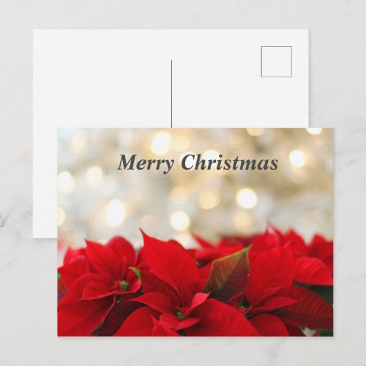 Christmas Poinsetta Postkarte (Vorne/Hinten)