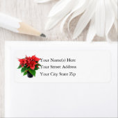 Christmas Poinsettia (Insitu)