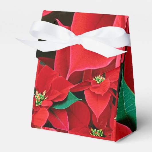Christmas Poinsettia Favor Box Geschenkschachtel (Vorderseite)