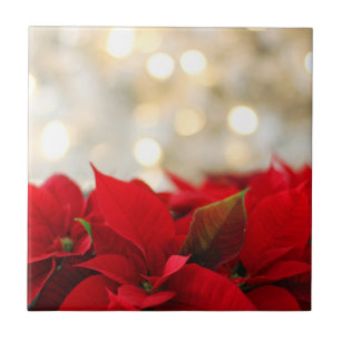 Christmas Poinsettia Fliese