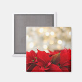 Christmas Poinsettia Magnet (Vorderseite/Rückseite)