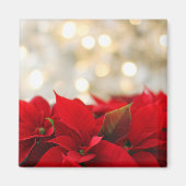 Christmas Poinsettia Magnet (Vorne)