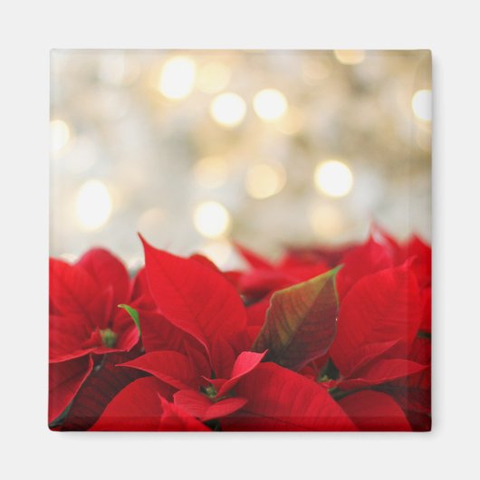 Christmas Poinsettia Magnet (Vorne)