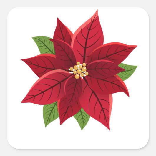 Christmas Poinsettia Quadratischer Aufkleber (Vorderseite)