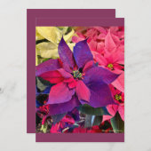 Christmas Poinsettias Feiertagskarte (Vorne/Hinten)