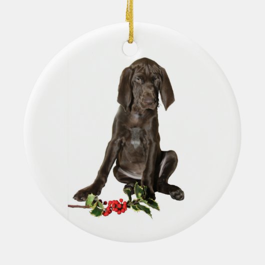 Christmas Pointer Puppy Keramik Ornament (Hinten)