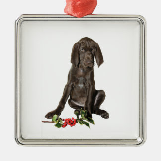 Christmas Pointer Puppy Silbernes Ornament