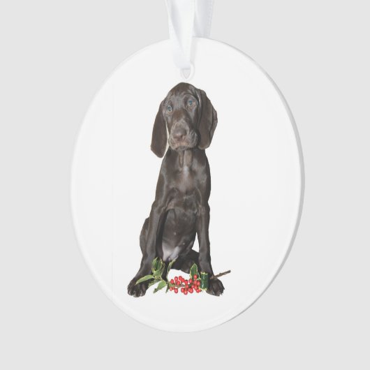 Christmas Pointer Sister Puppy Ornament (Vorderseite)