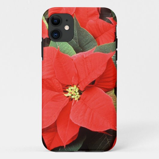Christmas Pointsettia iPhone 5 Fall Case-Mate iPhone Hülle (Rückseite)