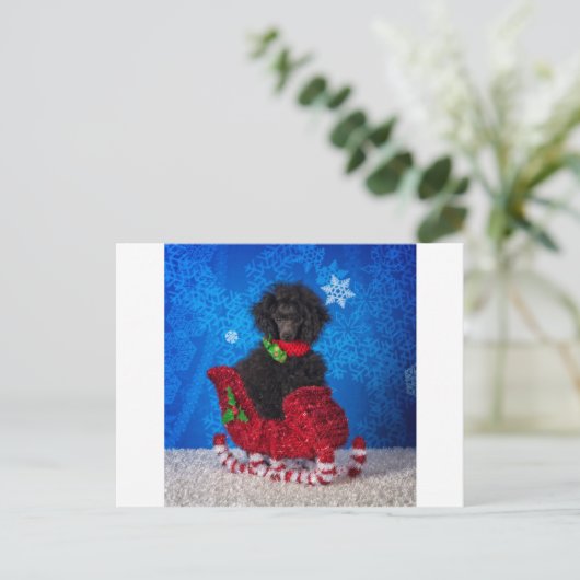 Christmas Poodle Feiertagspostkarte (Stehend Vorderseite)