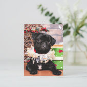 Christmas - Pug - Daisy Mae Feiertagspostkarte (Stehend Vorderseite)