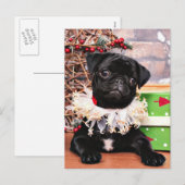 Christmas - Pug - Daisy Mae Feiertagspostkarte (Vorne/Hinten)