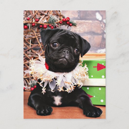 Christmas - Pug - Daisy Mae Feiertagspostkarte (Vorderseite)