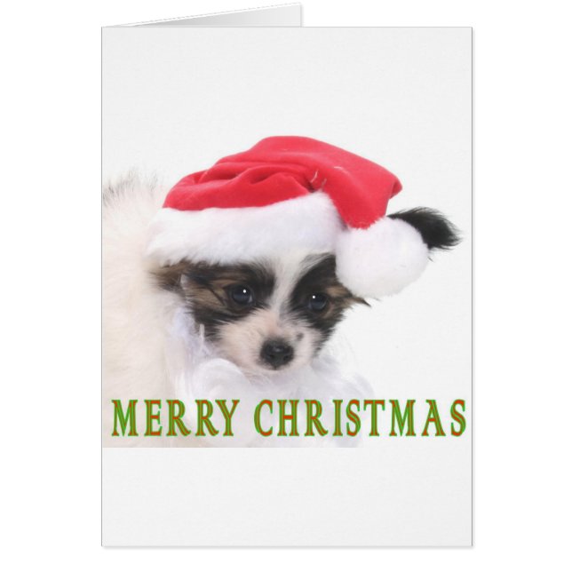 CHRISTMAS PUPPY (Vorne)