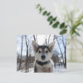 Christmas Puppy Feiertagspostkarte (Stehend Vorderseite)