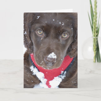 Christmas Puppy Snow Card Feiertagskarte
