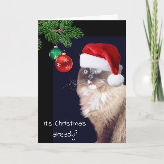 Christmas Ragdoll Cat Spaß Karte (Vorderseite)