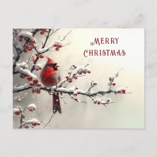 Christmas Red Cardinal Holiday Postkarte (Vorderseite)