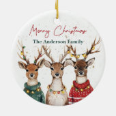 Christmas Reindeer Ornament | Custom Name (Hinten)