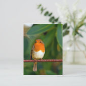 Christmas Robin Feiertagspostkarte (Stehend Vorderseite)