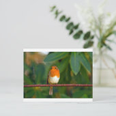 Christmas Robin Feiertagspostkarte (Stehend Vorderseite)
