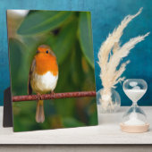 Christmas Robin Fotoplatte (Seite)