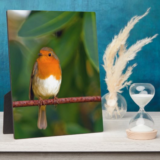 Christmas Robin Fotoplatte (Seite)