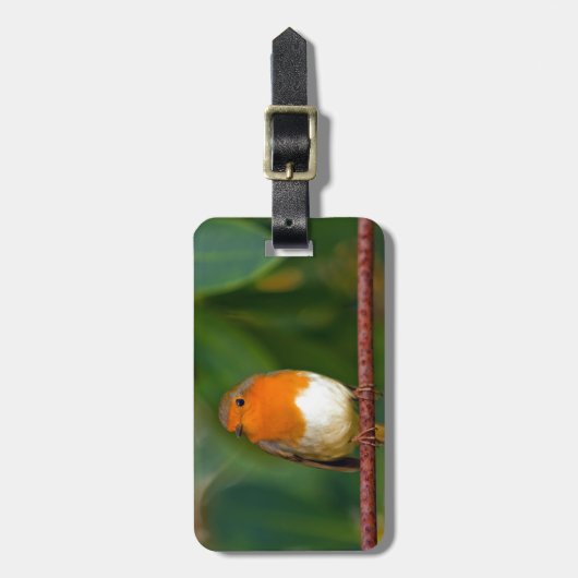 Christmas Robin Gepäckanhänger (Vorderseite vertikal)