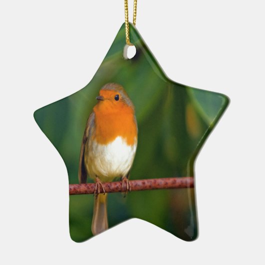Christmas Robin Keramik Ornament (Links)