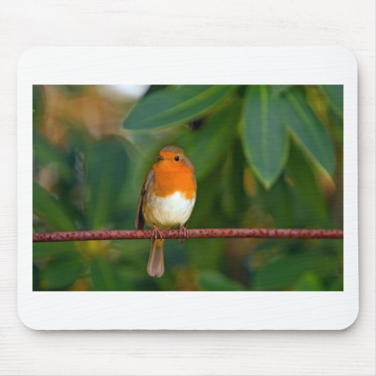Christmas Robin Mousepad (Vorne)