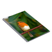 Christmas Robin Notizblock (Rechte Seite)