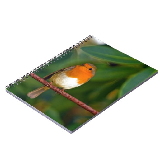 Christmas Robin Notizblock (Linke Seite)