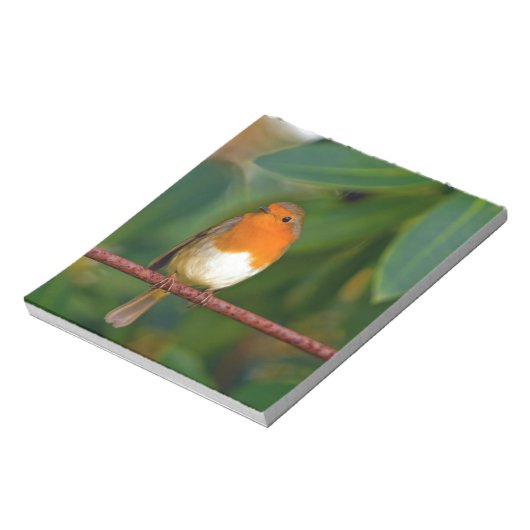 Christmas Robin Notizblock (Rotiert)