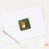 Christmas Robin Quadratischer Aufkleber (Umschlag)