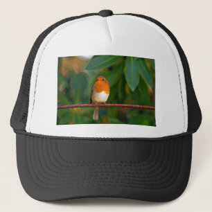 Christmas Robin Truckerkappe