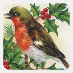 Christmas Robin Vintag Illustration Quadratischer Aufkleber
